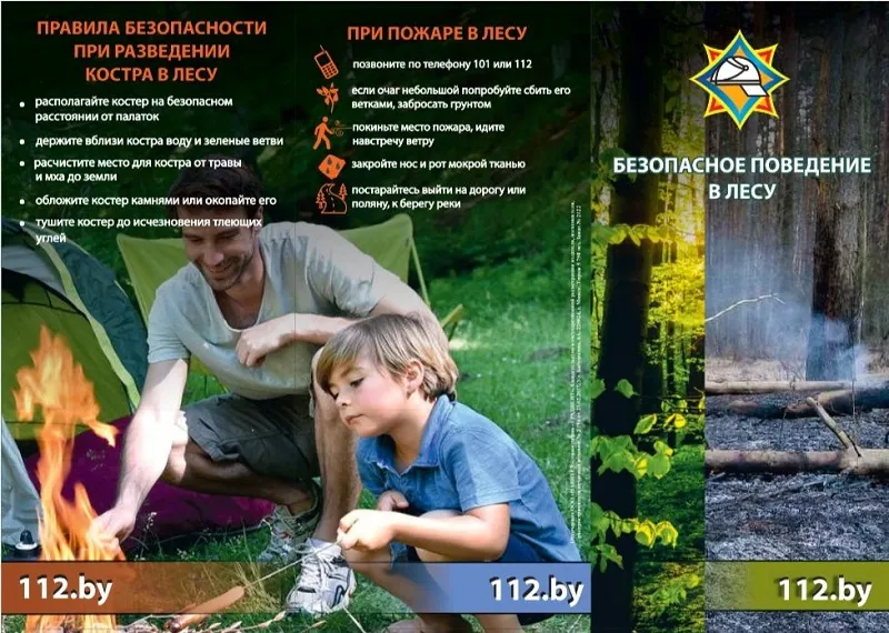 Берегите природу: соблюдайте правила безопасности в лесу!